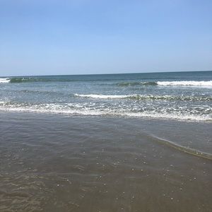 Meet your Posher, Laurie